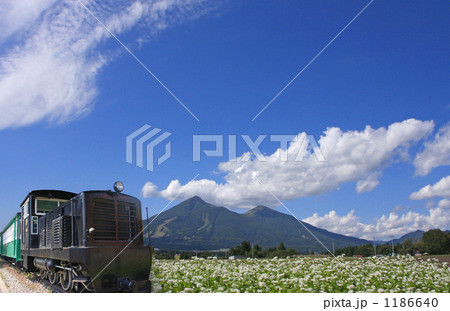 沼尻軽便鉄道と磐梯山 沼尻軽便鉄道と磐梯山 1186640