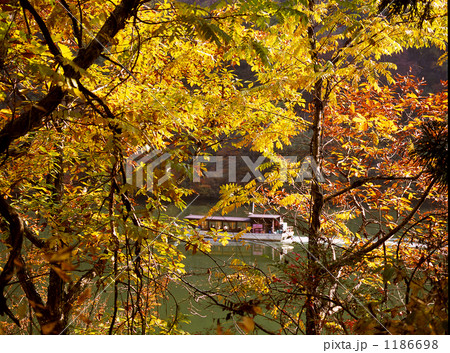 おく阿賀紅葉 1186698