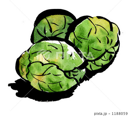 芽キャベツ 芽キャベツ 1188059