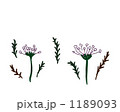 花のイラスト。北欧風のシンプルでナチュラルな素材 1189093