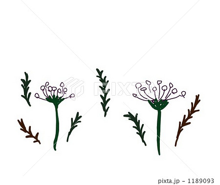 花のイラスト 北欧風のシンプルでナチュラルな素材のイラスト素材 1189093 Pixta
