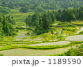 棚田の風景 1189590