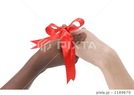 タカレナ0292 タカレナ0292 1189670