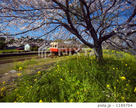 小湊鉄道　里見駅付近 1189704