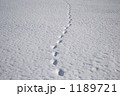 雪原　足跡 1189721