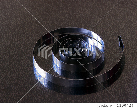 ゼンマイ 1190424