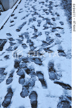 雪道の足跡Ⅱ 雪道の足跡Ⅱ 1194649