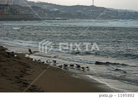 北海道 江差散歩・江差の海 北海道 江差散歩・江差の海 1195802