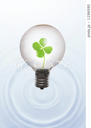 電球とクローバー 1196090