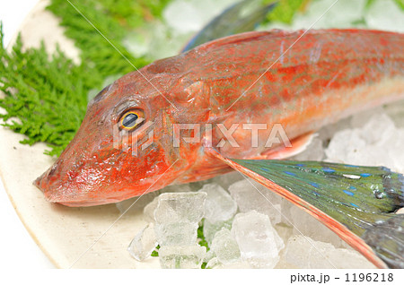 カタチが不思議な魚ホウボウ。 1196218