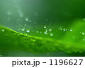 1196627