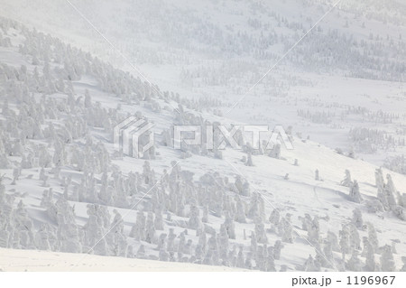 冬の八甲田 1196967