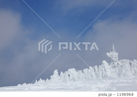 冬の八甲田　田茂萢岳 1196968