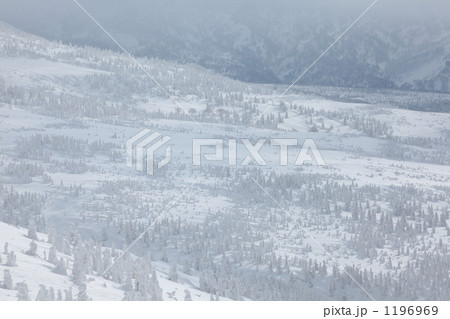 冬の八甲田 1196969