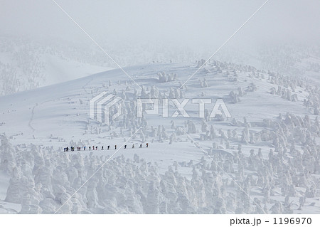 冬の八甲田 田茂萢湿原 冬の八甲田 田茂萢湿原 1196970