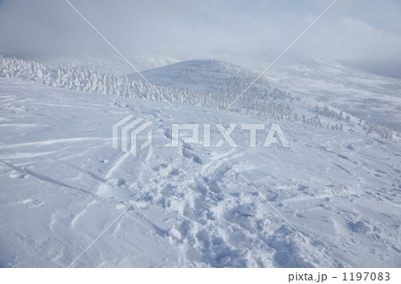 八甲田スキー場 1197083