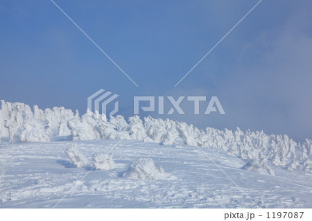 冬の八甲田　田茂萢岳 1197087