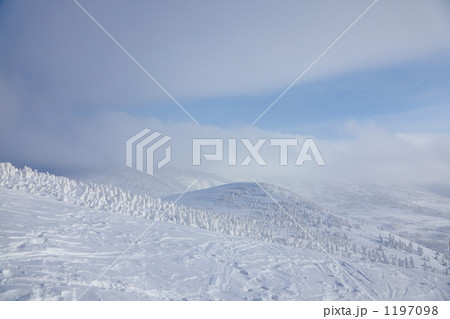 八甲田スキー場 八甲田スキー場 1197098