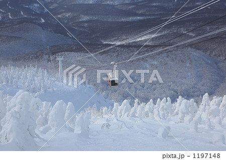 八甲田ロープウェイ 1197148