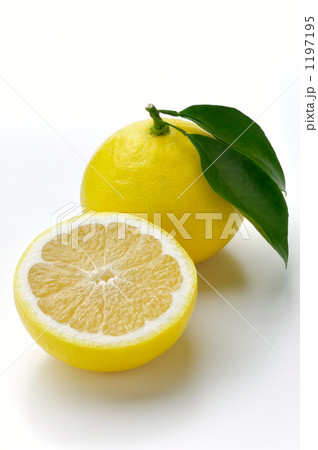 日向夏 日向夏 1197195