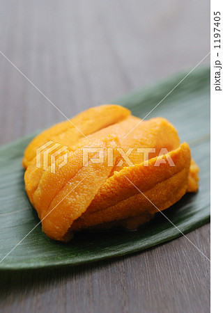 うに うに 1197405