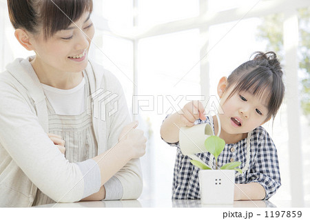 1197859