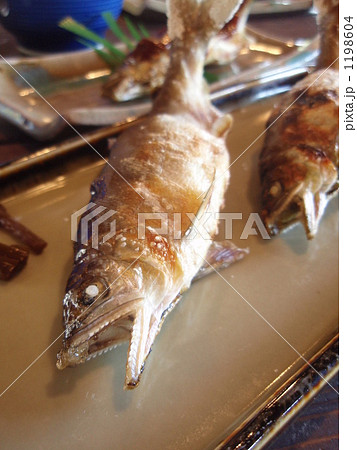 簗_鮎の塩焼 1198604