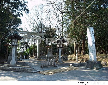 谷保天満宮鳥居と参道 1198637