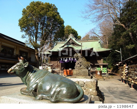 谷保天満宮の牛と拝殿 谷保天満宮の牛と拝殿 1198647