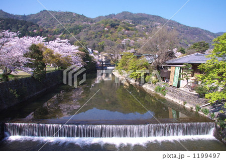 春の嵐山 1199497