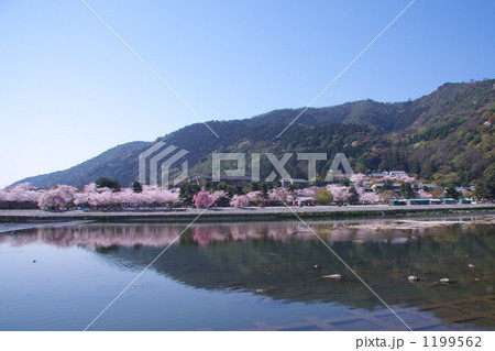 春の嵐山 春の嵐山 1199562