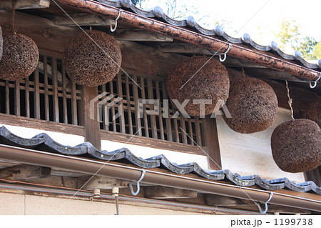 造り酒屋の杉玉 1199738