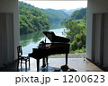 森の中の・・・ 1200623