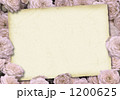 1200625