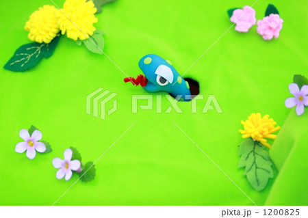 春に目覚めたへび 春に目覚めたへび 1200825