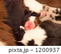 1200937