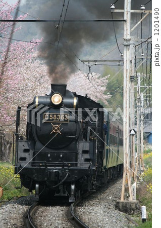 桜とパレオエクスプレス 1201490