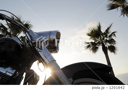 ハーレーダビッドソン 1201642