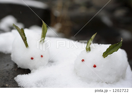 雪うさぎ 2 雪うさぎ 2個入 - 風月フーズのオンラインショップ