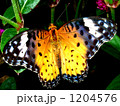 1204576