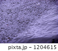 1204615