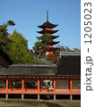 1205023
