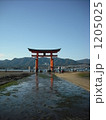 1205025