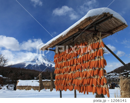 トウモロコシと富士山 トウモロコシと富士山 1206141