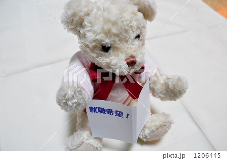 就職活動中！ 1206445