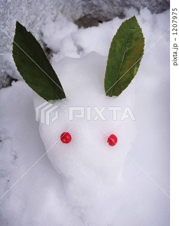 雪うさぎ 雪うさぎ 1207975