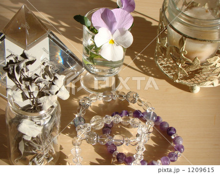 ホワイトセージ 1209615