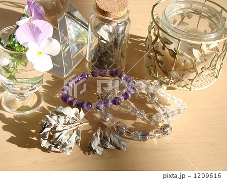 ホワイトセージ 1209616