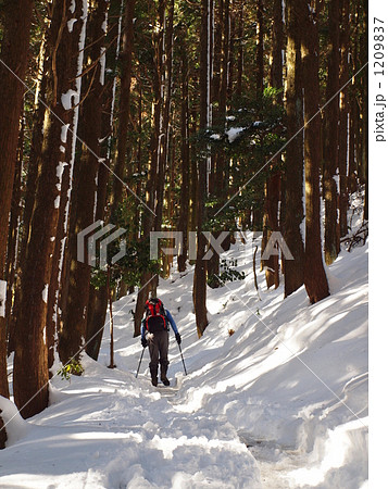 木漏れ日の雪山登山 1209837