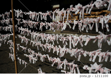 おみくじ おみくじ 1211100